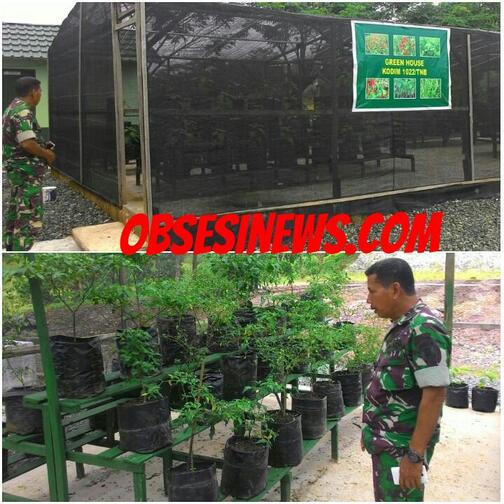 Antisipasi Lonjakan Harga Cabe ​Kodim 1022/Tnb Laksanakan Tanam Cabe