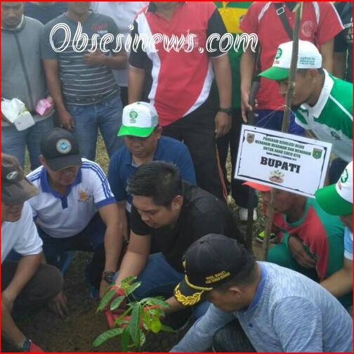 Atasi Krisis Lahan Hijau Bupati Tanbu Gelar Tanam Pohon Serentak