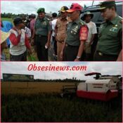 Kodim 1022/Tnb Laksanakan Sergap Dalam Kegiatan Panen Raya di Sepunggur, Tanah Bumbu