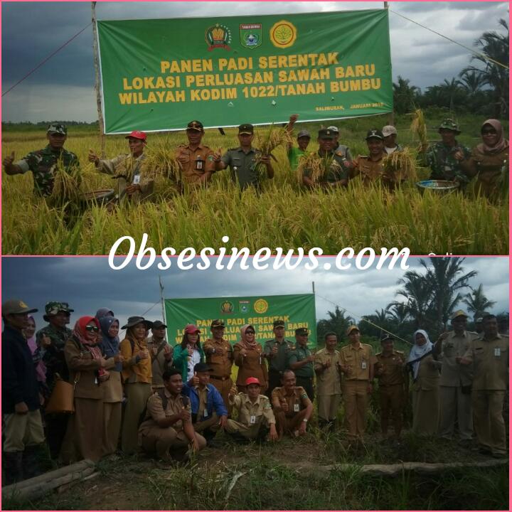 Lahan Baru Cetak Sawah Kodim 1022/TNB Sudah Hasilkan Panen