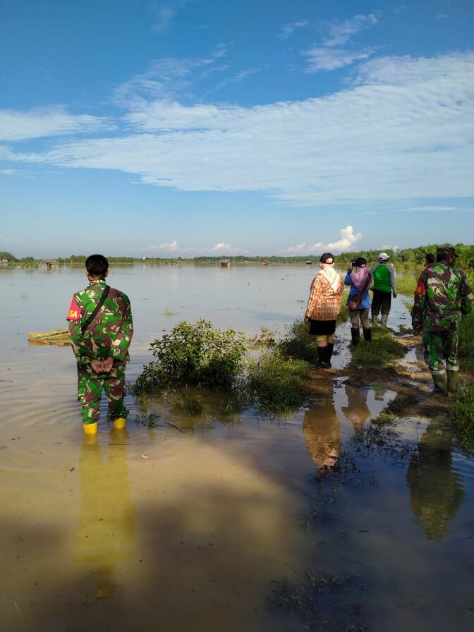 Puluhan Hektar Sawah siap Panen di Angsana Terendam Banjir