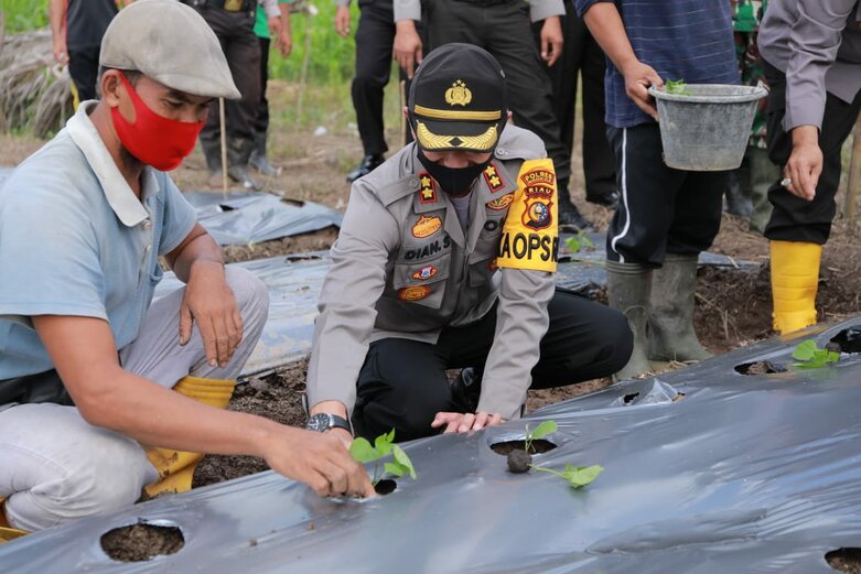 Dukung Ketahanan pangan Polres Inhil bersama 3 Pilar Gelar Penanaman Bibit Palawija