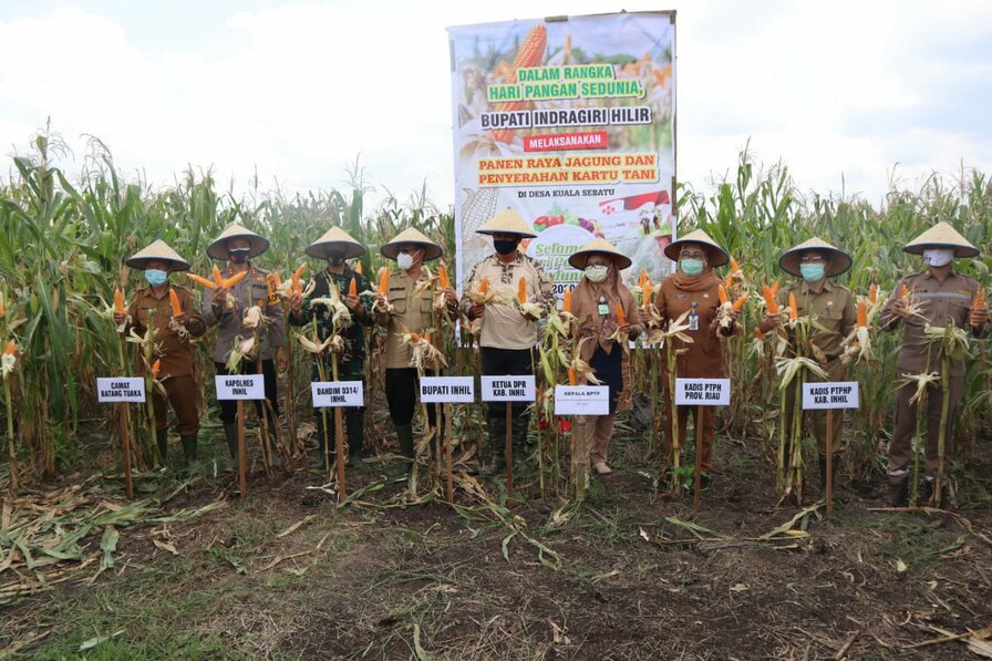 Dandim 0314/Inhil Menghadiri Acara Panen Raya