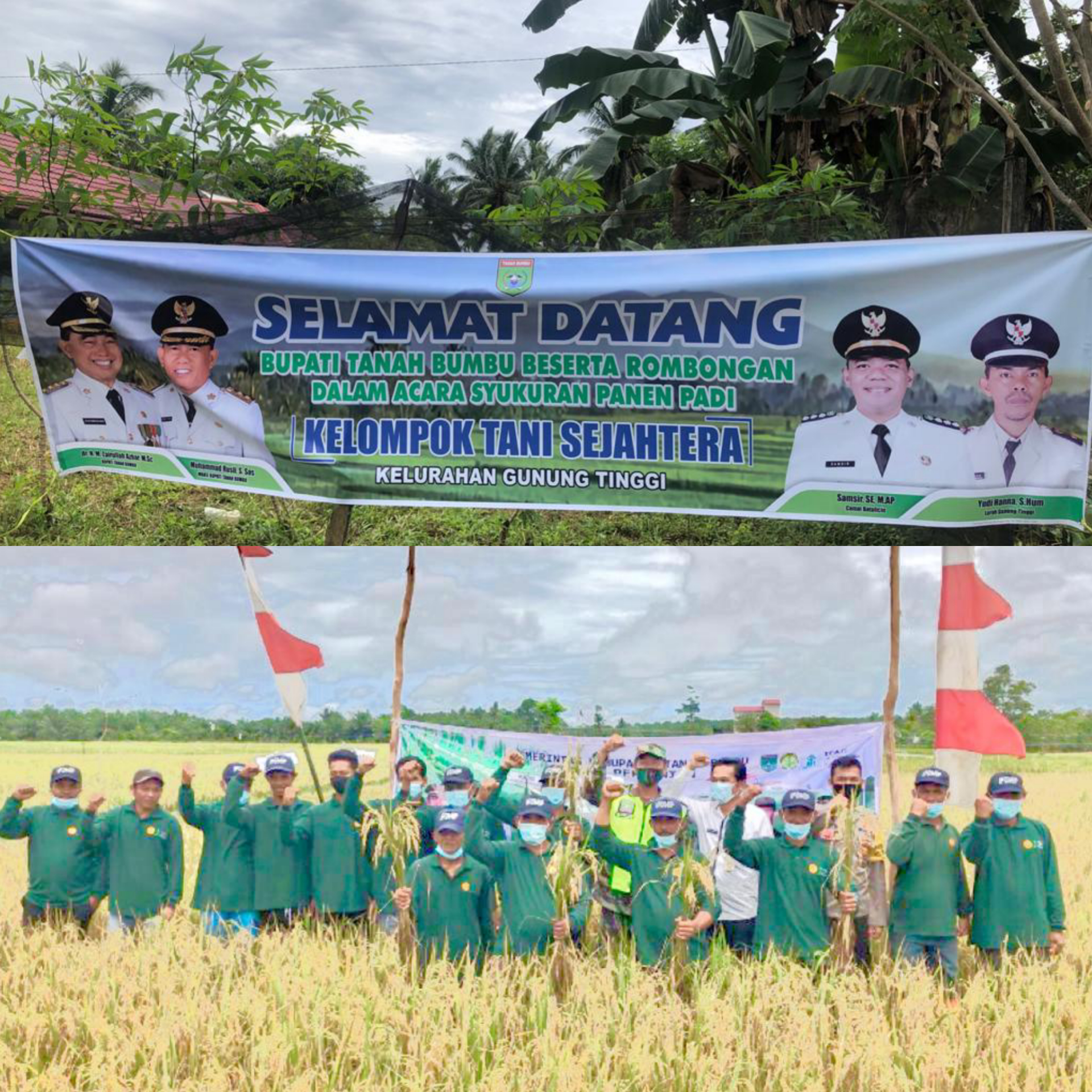 Panen Raya Padi, Kelompok Tani Sejahtera Gunung Tinggi Gelar Syukuran