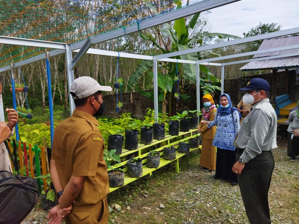 Pekarangan Pangan Lestari Guna Penuhi Kebutuhan Pangan Keluarga