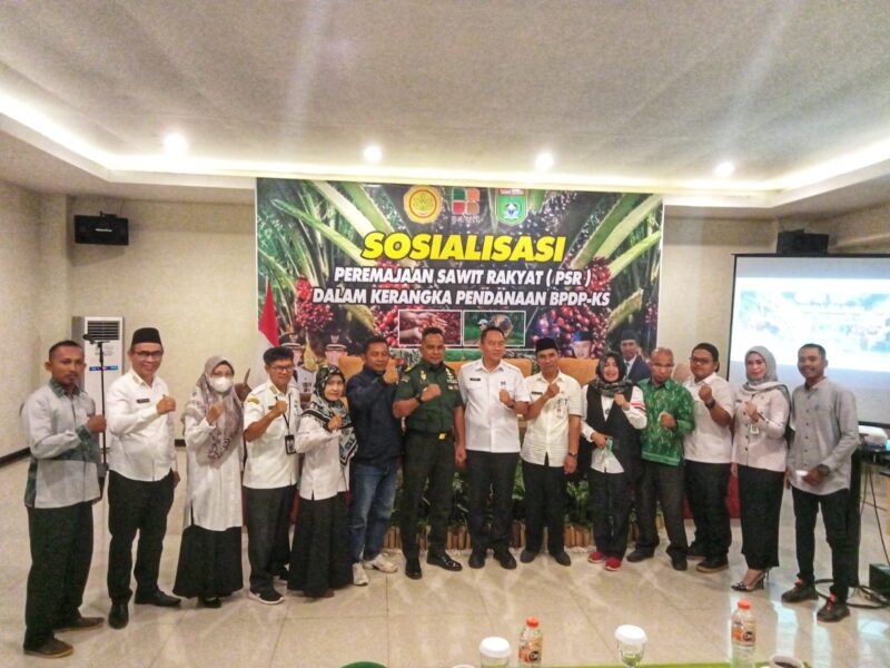 Targetkan PSR Seluas 500 Hektar, DKPP Tanbu Berikan Sosialisasi Kepada Petani Sawit