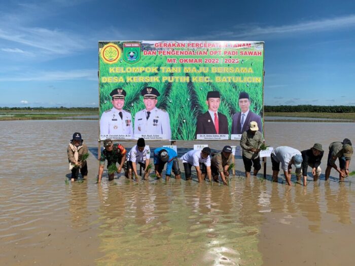 Pemkab Tanbu Gencarkan Gerakan Percepatan Tanam Padi Sawah