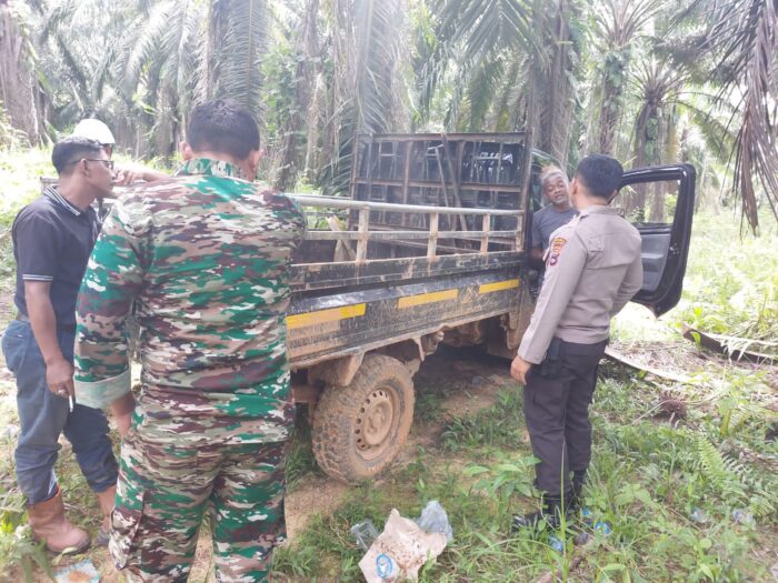 Kedapatan Curi Sawit Perusahaan, 3 Pemuda Di Sungai Loban Dibekuk Polisi