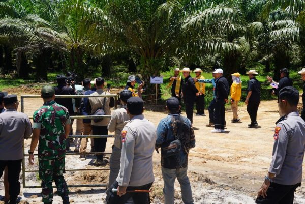 Kick Off Siska Ku Intip di Tanah Bumbu, Mentan RI Dorong Pengembangan Sapi Ternak Di Kalsel