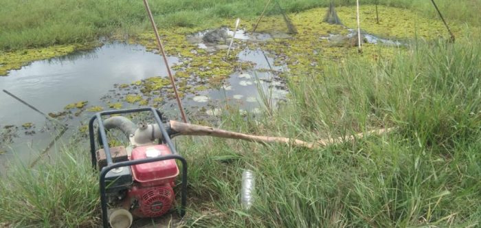 Cegah Dampak El Nino, DKPP Tanbu Berikan Langkah Penanganan