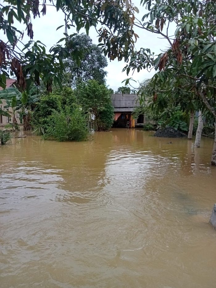 Curah Hujan Tinggi, Desa di Tanbu Ini Terendam Banjir