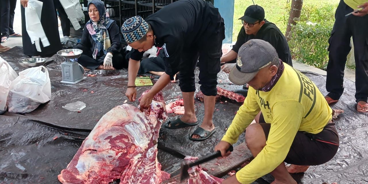 Berbagi Berkah Idul Adha, Petugas Kebersihan Kantor Bupati Tanbu Ikut Berkurban