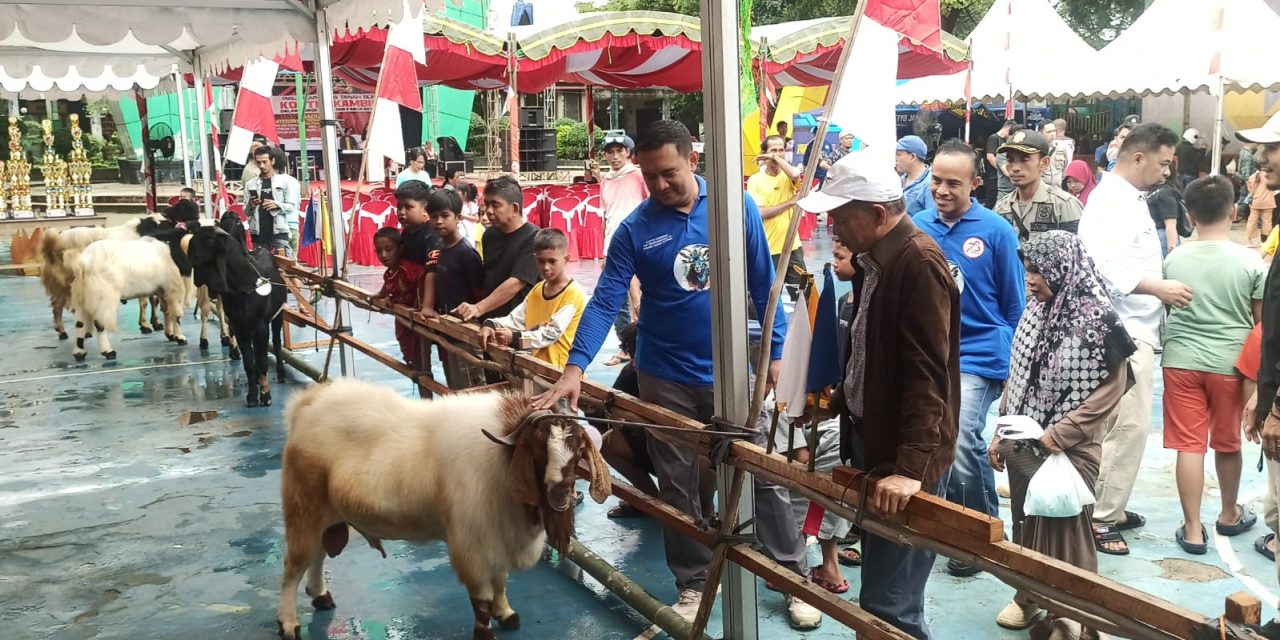 Sekda Berikan Apresiasi Atas Terselenggaranya Kontes Kambing