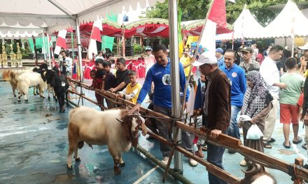 Sekda Berikan Apresiasi Atas Terselenggaranya Kontes Kambing