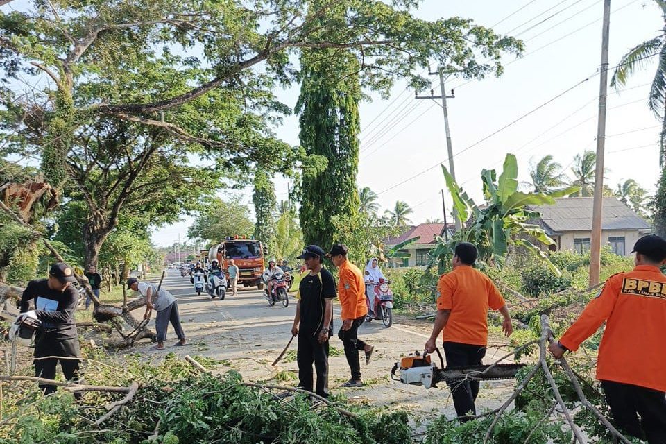 BPBD Akan Gerak Cepat Tangani Pohon Tumbang yang Menutup Ruas Jalan Akibat Angin Kencang