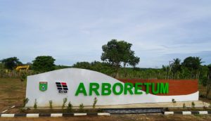 Arboretum at-Ta’if Ditetapkan Sebagai Destinasi Wisata Baru di Tanbu