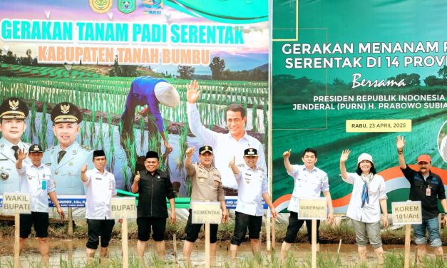 Kabupaten Tanbu Menjadi Pusat Pelaksanaan Gerakan Menanam Padi Serentak