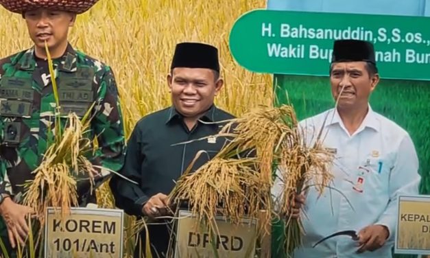 Wakil Ketua I DPRD Tanbu Hadiri Pesta Panen Raya dan Gerakan Tanam Padi Serentak