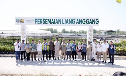 Pemkab Tanbu Terima 500 Bibit Tanaman dari Kemenhut RI untuk Program Rehabilitasi Program