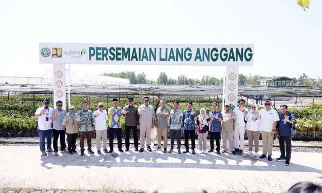 Pemkab Tanbu Terima 500 Bibit Tanaman dari Kemenhut RI untuk Program Rehabilitasi Program