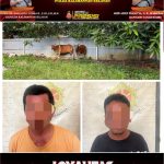 Polsek Angsana Berhasil Amankan Pelaku Penadahan dan Pencurian Sapi