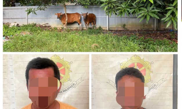 Polsek Angsana Berhasil Amankan Pelaku Penadahan dan Pencurian Sapi