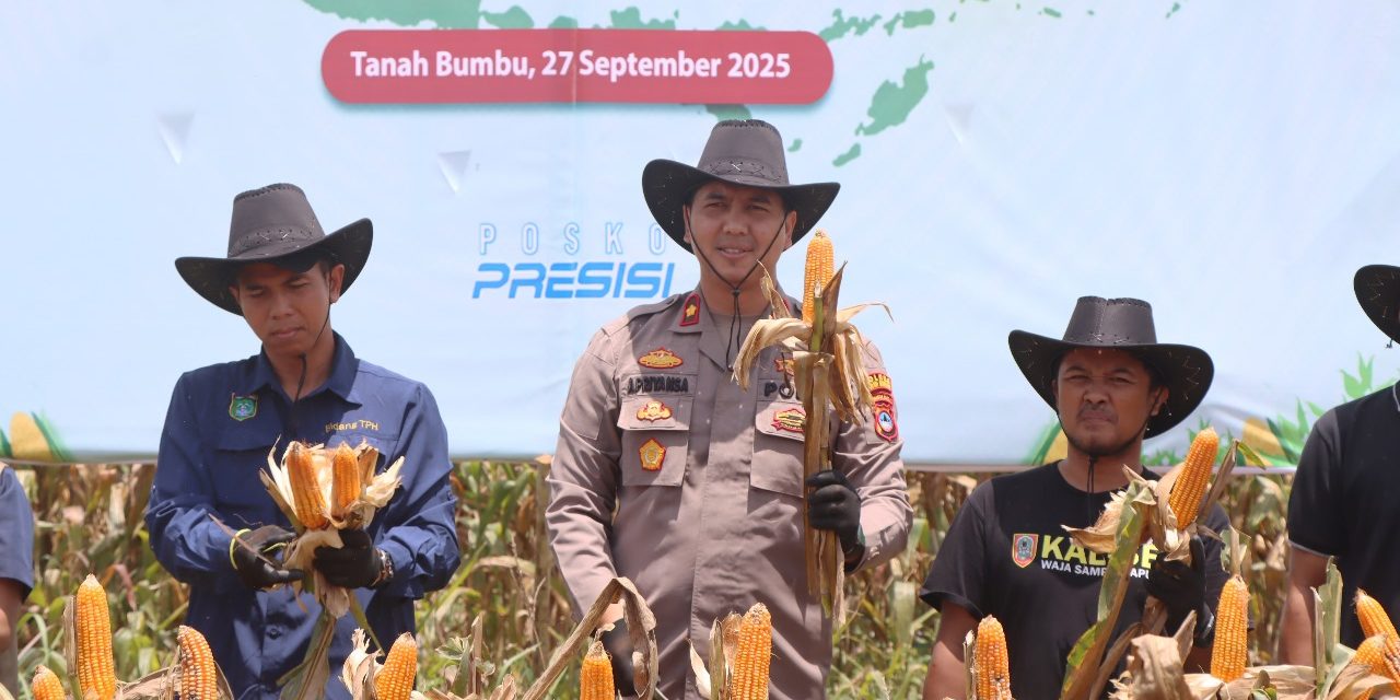 Polres Tanbu Laksanakan Panen Raya Jagung Serentak Kuartal III di Gunung Tinggi