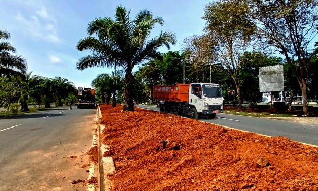 Pemkab Tanah Bumbu Percantik Area Perkantoran dengan Taman Trotoar