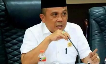 Awal 2026, PLN Mengakhiri Puluhan Tahun Keterbatasan Penerangan yang Dialami Warga