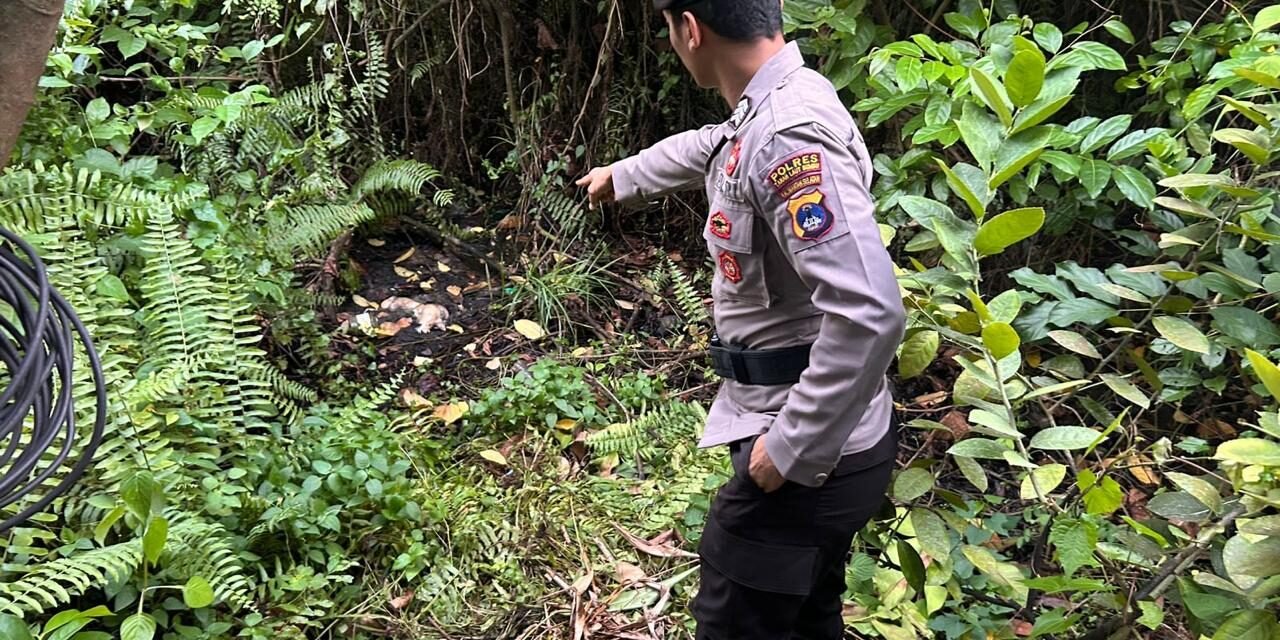 Desa Baroqah Simpang Empat Digegerkan Penemuan Mayat Bayi Perempuan