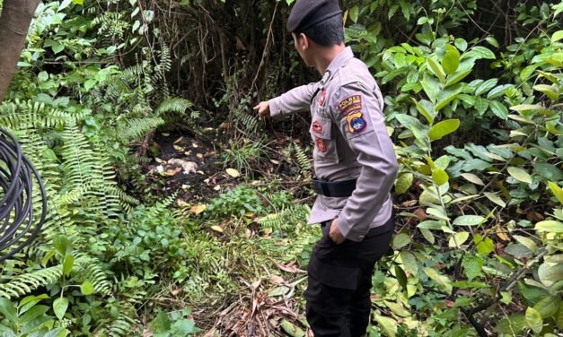 Desa Baroqah Simpang Empat Digegerkan Penemuan Mayat Bayi Perempuan