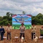 Kapolres Tanbu Laksanaman Zoom Meeting Penanaman Jagung dan MoU dengan Bank Himbara