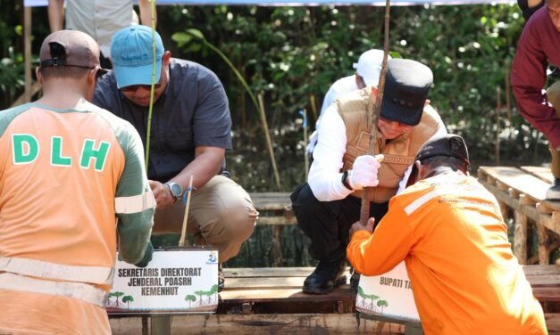 Momentum Hari Jadi Tanbu ke-23 Hadirkan Aksi Nyata Berupa Penanaman Mangrove di Desa Muara Pagatan