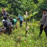 Warga Makmur Jaya Digegerkan Penemuan Mayat Pria di Area Perkebunan Pisang dan Singkong