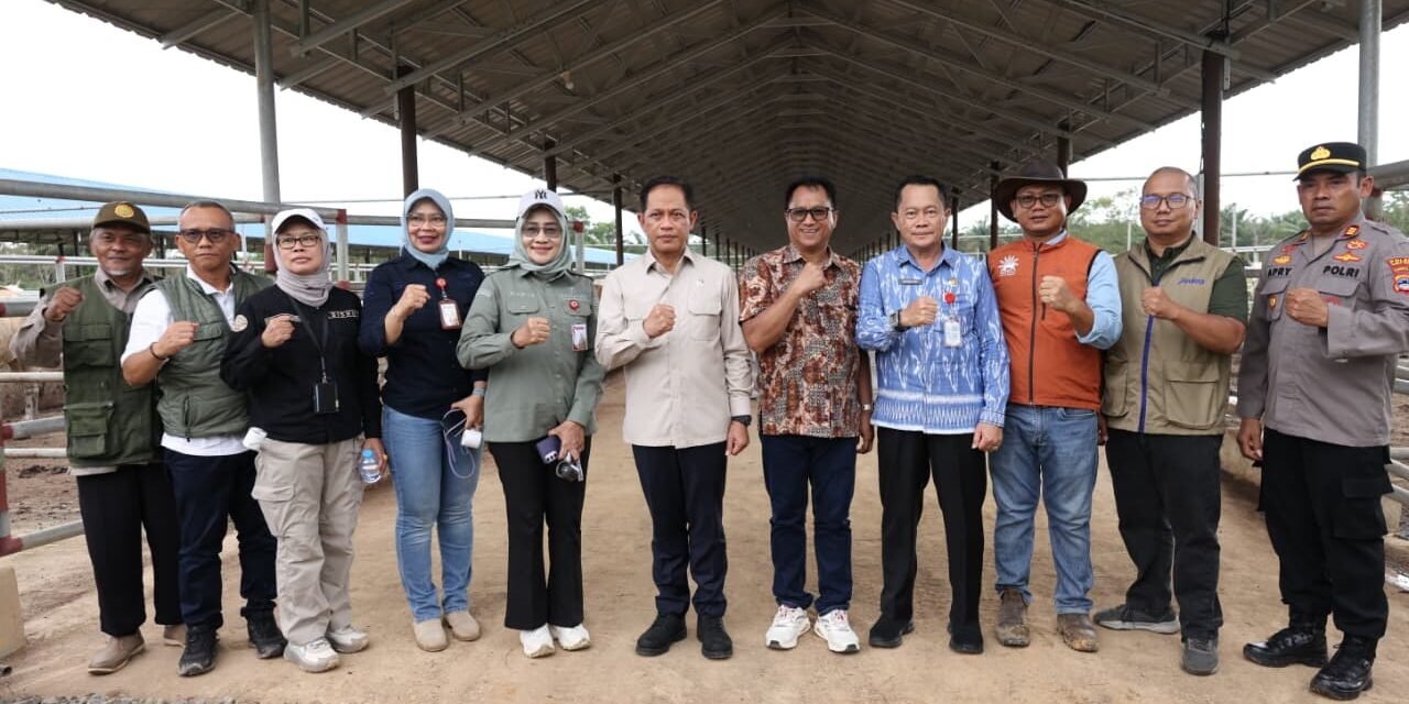 Wamenko Pangan RI Tinjau KSPEAN Kalsel Guna Lihat Program Pemberdayaan Peternakan Sapi Berkelanjutan