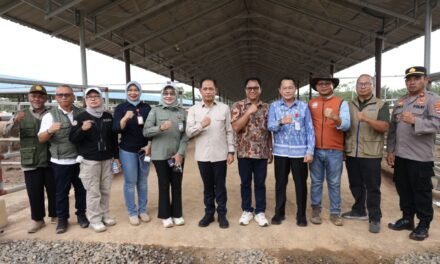 Wamenko Pangan RI Tinjau KSPEAN Kalsel Guna Lihat Program Pemberdayaan Peternakan Sapi Berkelanjutan