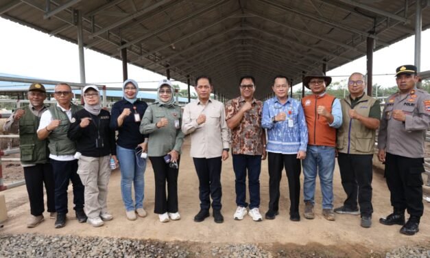 Wamenko Pangan RI Tinjau KSPEAN Kalsel Guna Lihat Program Pemberdayaan Peternakan Sapi Berkelanjutan