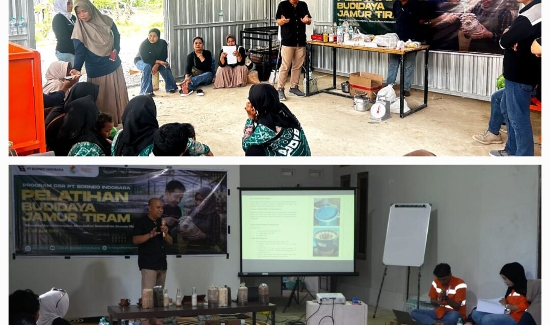 Dorong Ekonomi Desa, CSR PT Borneo Indobara Latih Kelompok Budidaya Jamur Produksi Bibit Mandiri