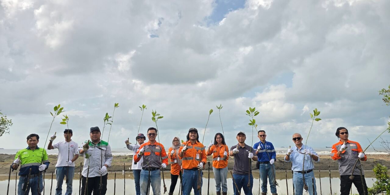 PT Borneo Indobara dan Mitra Kerja Tanam 1.000 Mangrove di Pantai Bunati Peringati Hari Mangrove Sedunia 2026