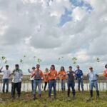 PT Borneo Indobara dan Mitra Kerja Tanam 1.000 Mangrove di Pantai Bunati Peringati Hari Mangrove Sedunia 2026