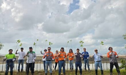 PT Borneo Indobara dan Mitra Kerja Tanam 1.000 Mangrove di Pantai Bunati Peringati Hari Mangrove Sedunia 2026