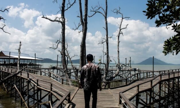 Wisata Mangrove di Desa Kersik Putih Batulicin Terus Dikembangkan sebagai Destinasi Wisata Unggulan Tanbu