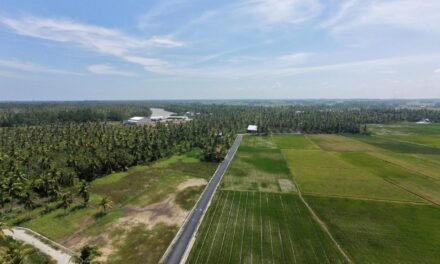 Dari Sawah ke Sekolah, Jalan Mulus Buka Akses Baru bagi Warga Rantau Panjang Hulu