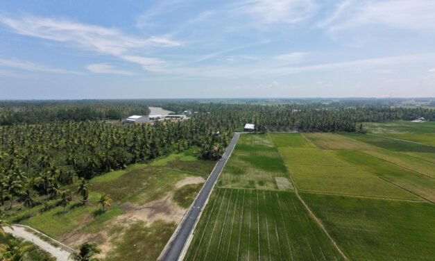 Dari Sawah ke Sekolah, Jalan Mulus Buka Akses Baru bagi Warga Rantau Panjang Hulu