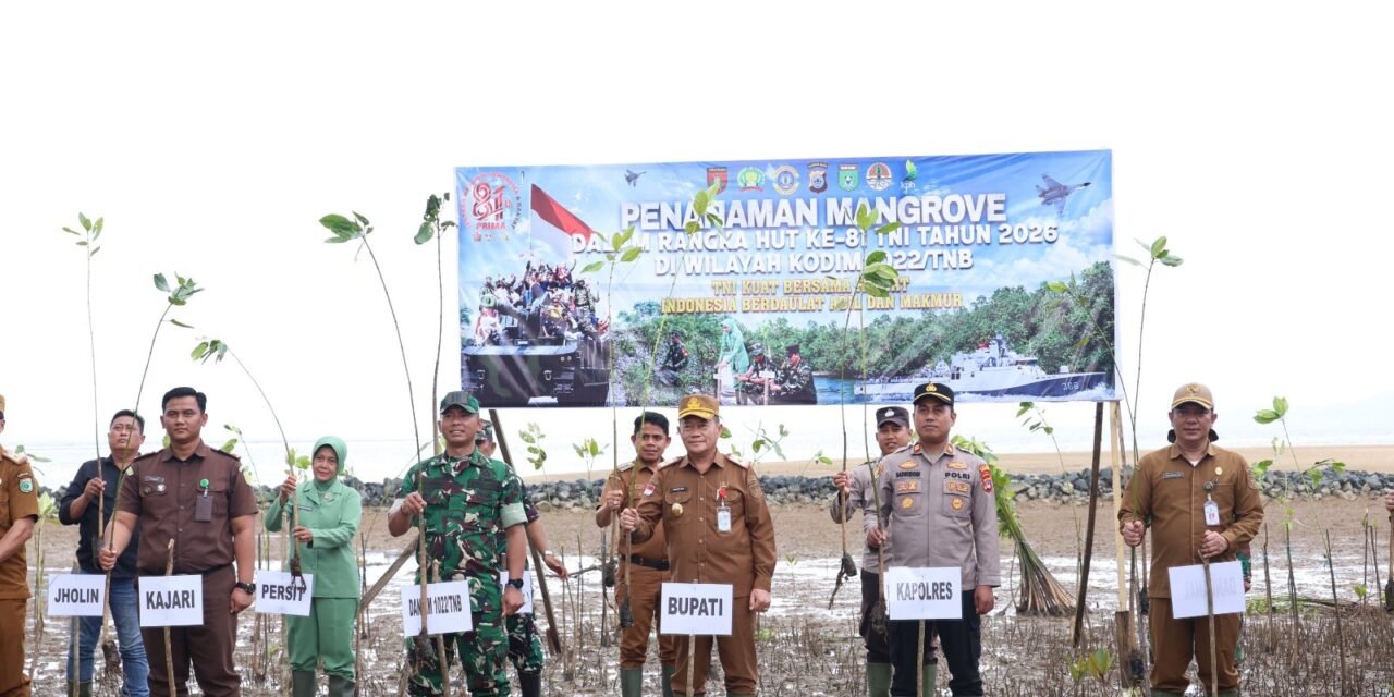 1000 Mangrove Ditanam di Muara Pagatan Guna Peringati HUT ke-81 TNI 2026 Kodim 1022/TNB