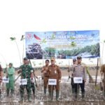 1000 Mangrove Ditanam di Muara Pagatan Guna Peringati HUT ke-81 TNI 2026 Kodim 1022/TNB